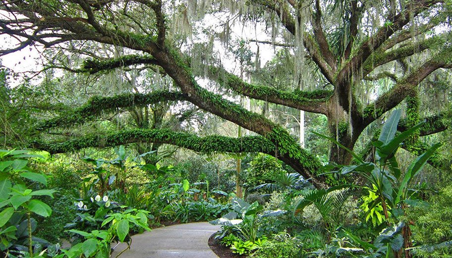 Harry P. Leu Gardens, United States